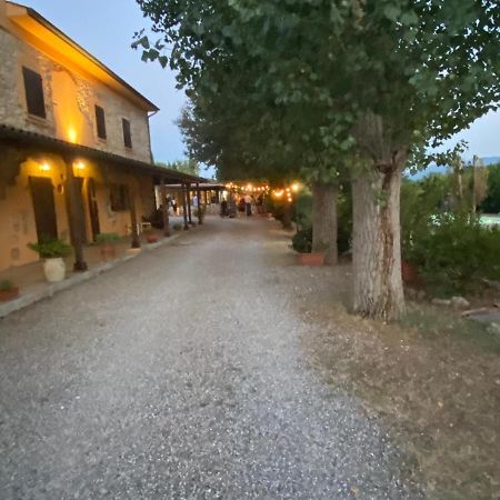 Podere Ripabianca Riparbella Zewnętrze zdjęcie