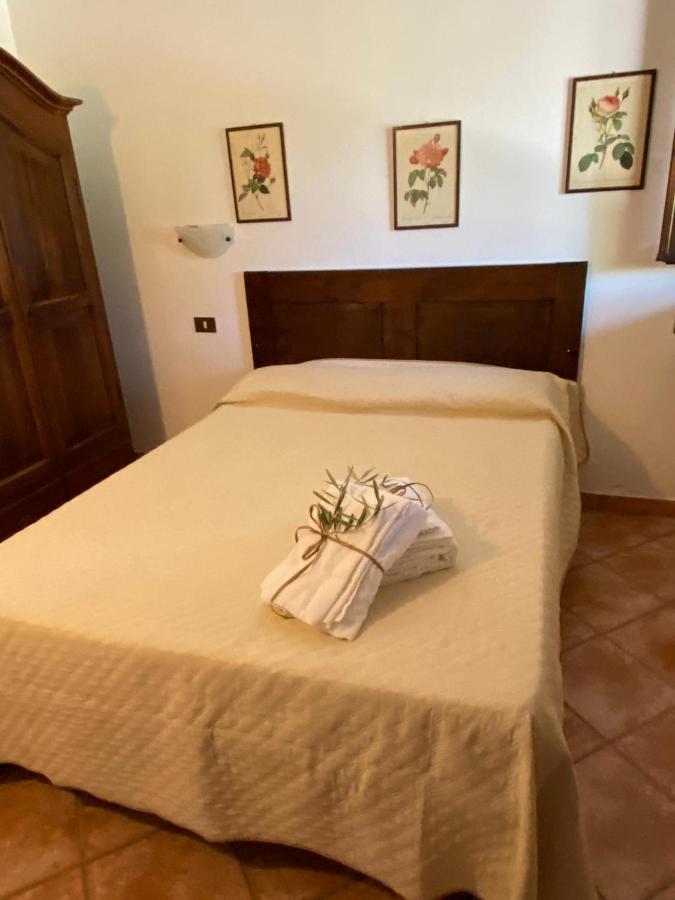 Podere Ripabianca Riparbella Zewnętrze zdjęcie