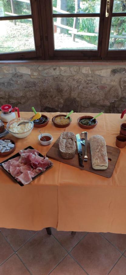 Podere Ripabianca Riparbella Zewnętrze zdjęcie
